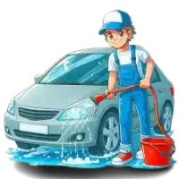 تنظيف السيارات فى كندا